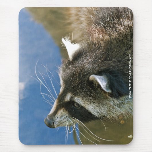 Raccoon Mousepad (Vorne)