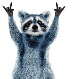 Raccoon - Naturwunder - Niedlicher Raccoon Rechteckiger Aufkleber