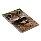 Raccoon Notizblock (Rechte Seite)