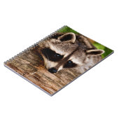 Raccoon Notizblock (Linke Seite)