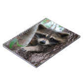 Raccoon Notizblock (Linke Seite)