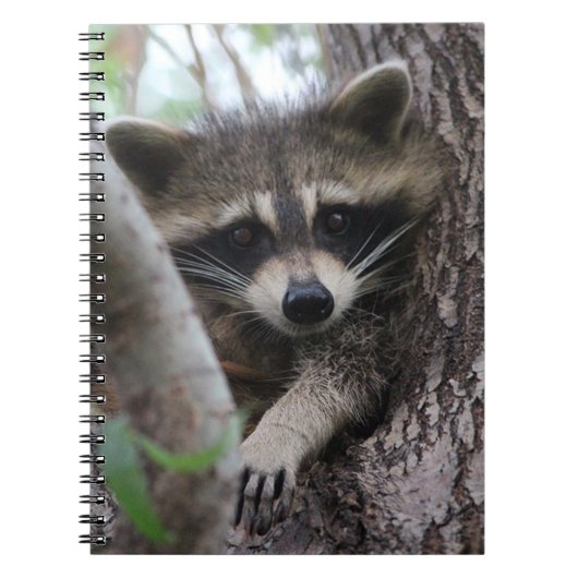 Raccoon Notizblock (Vorderseite)