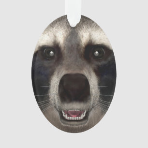 Raccoon Ornament