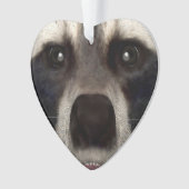 Raccoon Ornament (Vorderseite)