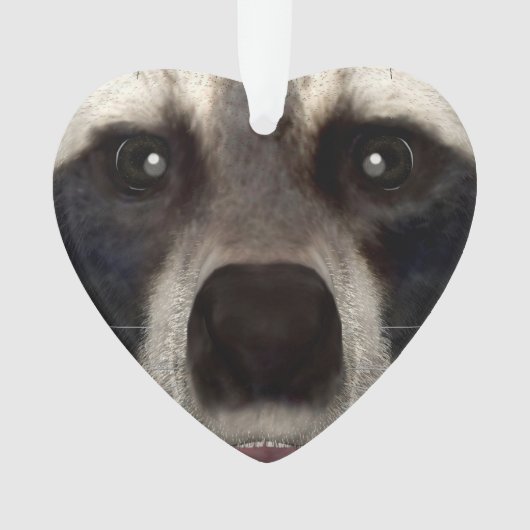 Raccoon Ornament (Vorderseite)