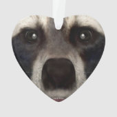 Raccoon Ornament (Rückseite)