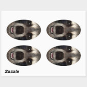 Raccoon Ovaler Aufkleber (Blatt)