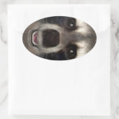 Raccoon Ovaler Aufkleber (Tasche)
