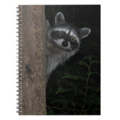 Raccoon Peeking von Behind Tree Nature Foto Notizblock (Vorderseite)