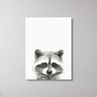 Raccoon Pencil Zeichnend