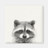 Raccoon Pencil Zeichnend Magnet (Vorne)