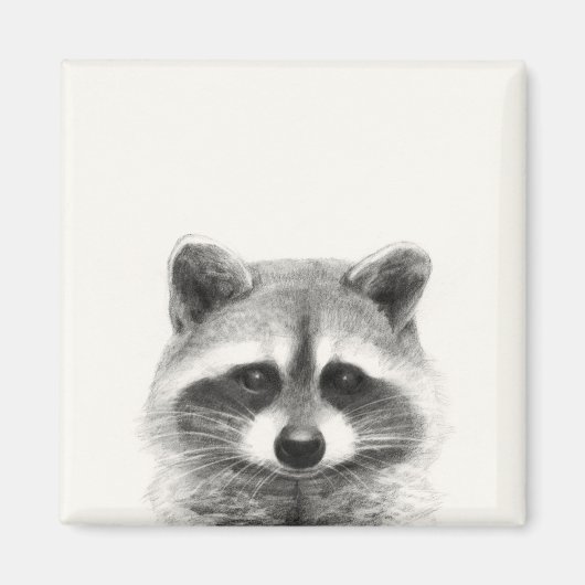 Raccoon Pencil Zeichnend Magnet (Vorne)