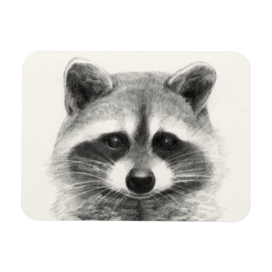 Raccoon Pencil Zeichnend Magnet (Horizontal)
