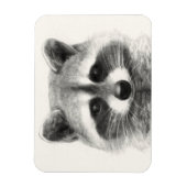Raccoon Pencil Zeichnend Magnet (Vertikal)