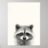 Raccoon Pencil Zeichnend Poster (Vorne)