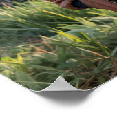 Raccoon Pilot Airplane Funny Wildlife Animal Poster (Ecke)