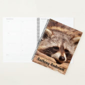 Raccoon Planer (Anzeige)