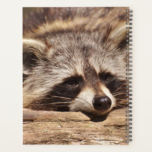Raccoon Planer (Rückseite)