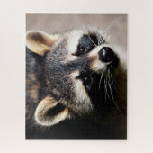 Raccoon Portrait, Jigsaw Puzzle (Vertikal)