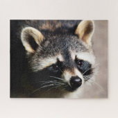 Raccoon Portrait, Jigsaw Puzzle (Horizontal)