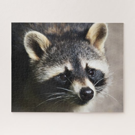 Raccoon Portrait, Jigsaw Puzzle (Horizontal)
