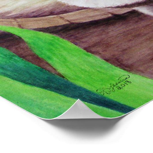 Raccoon Poster (Ecke)