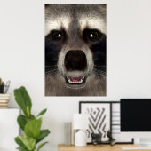 Raccoon Poster (Heimbüro)