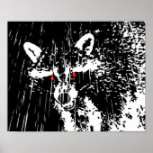 Raccoon Poster (Vorne)