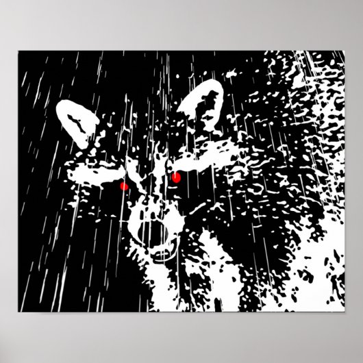 Raccoon Poster (Vorne)