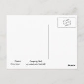 Raccoon Postkarte (Rückseite)