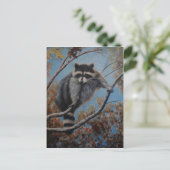 Raccoon Postkarte (Stehend Vorderseite)