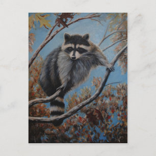 Raccoon Postkarte