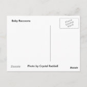 Raccoon Postkarte (Rückseite)