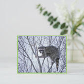 Raccoon Postkarte (Stehend Vorderseite)
