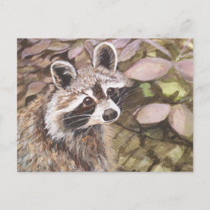 Raccoon Postkarte
