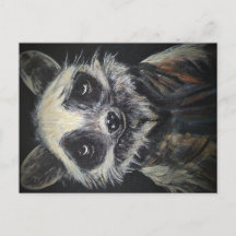 Raccoon Postkarte