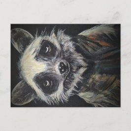 Raccoon Postkarte