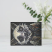 Raccoon Postkarte (Stehend Vorderseite)