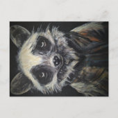Raccoon Postkarte (Vorderseite)