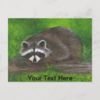 Raccoon