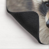 Raccoon, Procyon lotor, Florida Mousepad (Ecke)