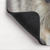 Raccoon, Procyon lotor, Florida, USA 2 Mousepad (Ecke)