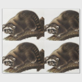 Raccoon (Procyon lotor) Illustration Geschenkpapier (Flach)