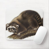Raccoon (Procyon lotor) Illustration Mousepad (Mit Mouse)