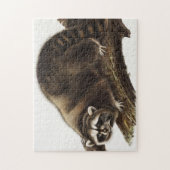 Raccoon (Procyon lotor) Illustration Puzzle (Vertikal)