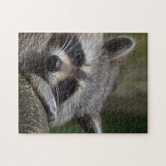 Raccoon Puzzle (Horizontal)