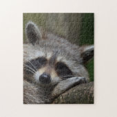 Raccoon Puzzle (Vertikal)
