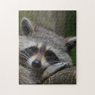 Raccoon Puzzle