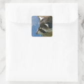 Raccoon Quadratischer Aufkleber (Tasche)