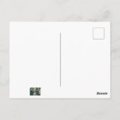 Raccoon Raiding the Bird Feeder Postkarte (Rückseite)